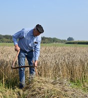 Agriculture 4443448 1920